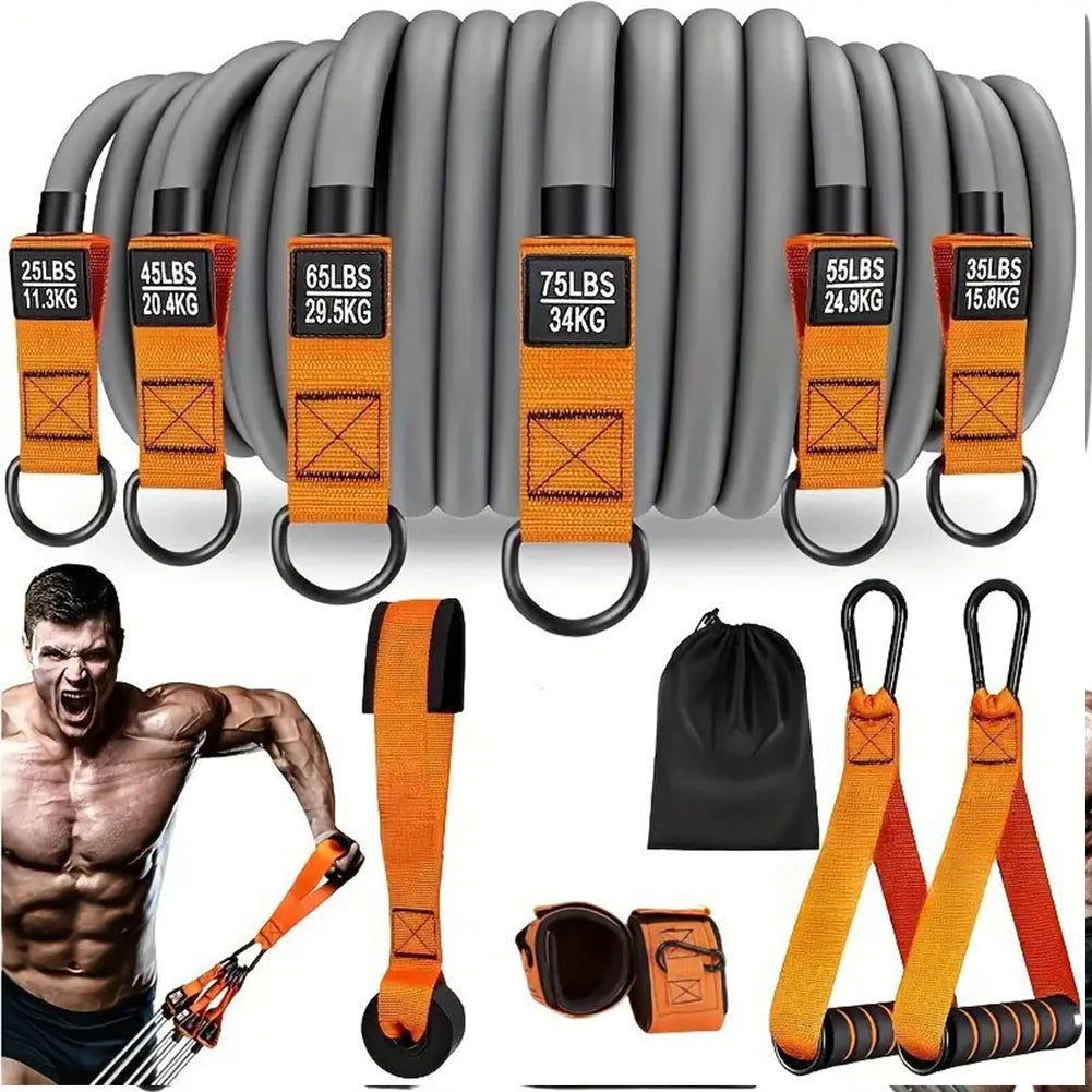 Resistance Bands Set with Handles – Multi-Function Fitness Bands