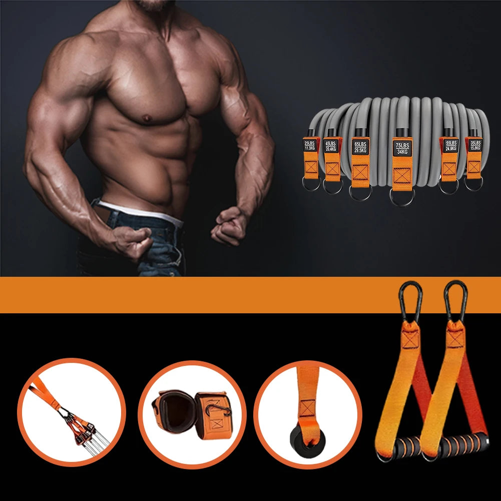 Resistance Bands Set with Handles – Multi-Function Fitness Bands