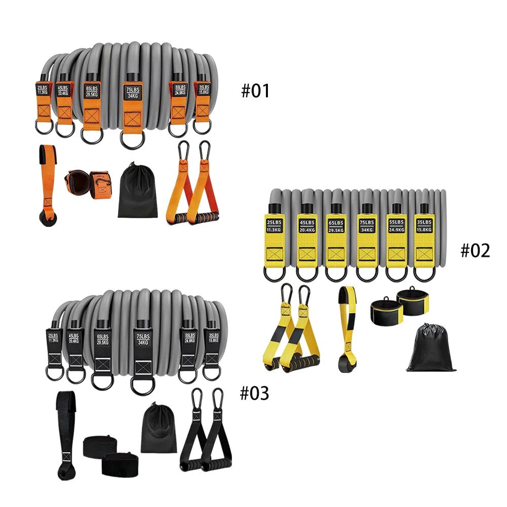 Resistance Bands Set with Handles – Multi-Function Fitness Bands